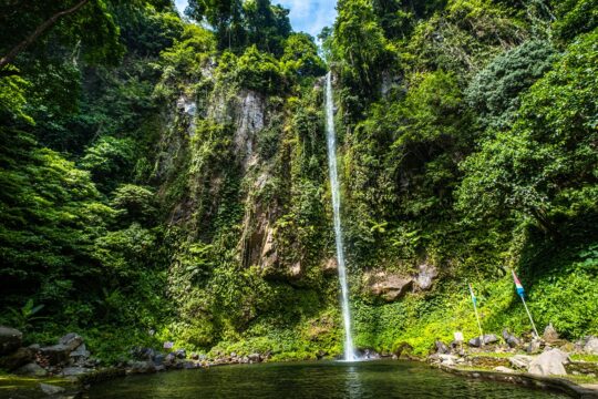Camiguin Katibawasan